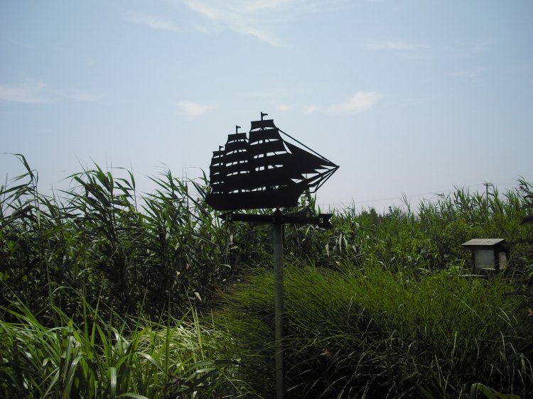 Weather Vane