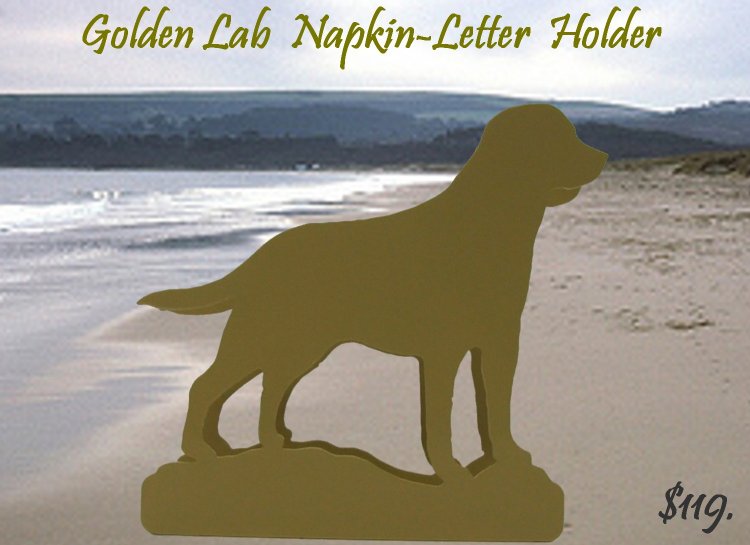 Lab Napkin Holder